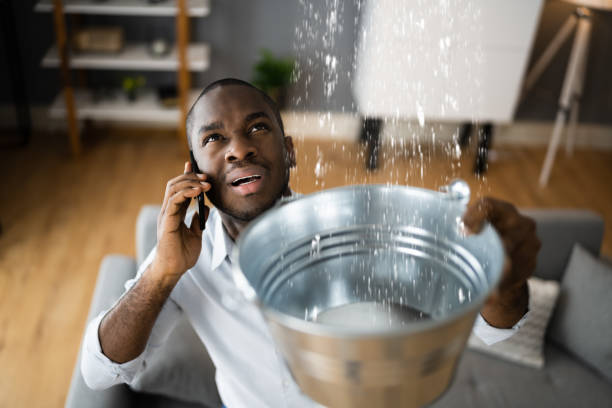 Best Water damage restoration process  in Lockport, IL