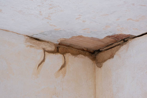 Best 24/7 water damage repair  in Lockport, IL