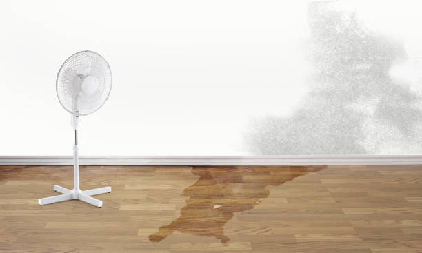 Best Sewage cleanup and water damage restoration  in Lockport, IL