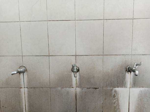 Best Water damage restoration company  in Lockport, IL